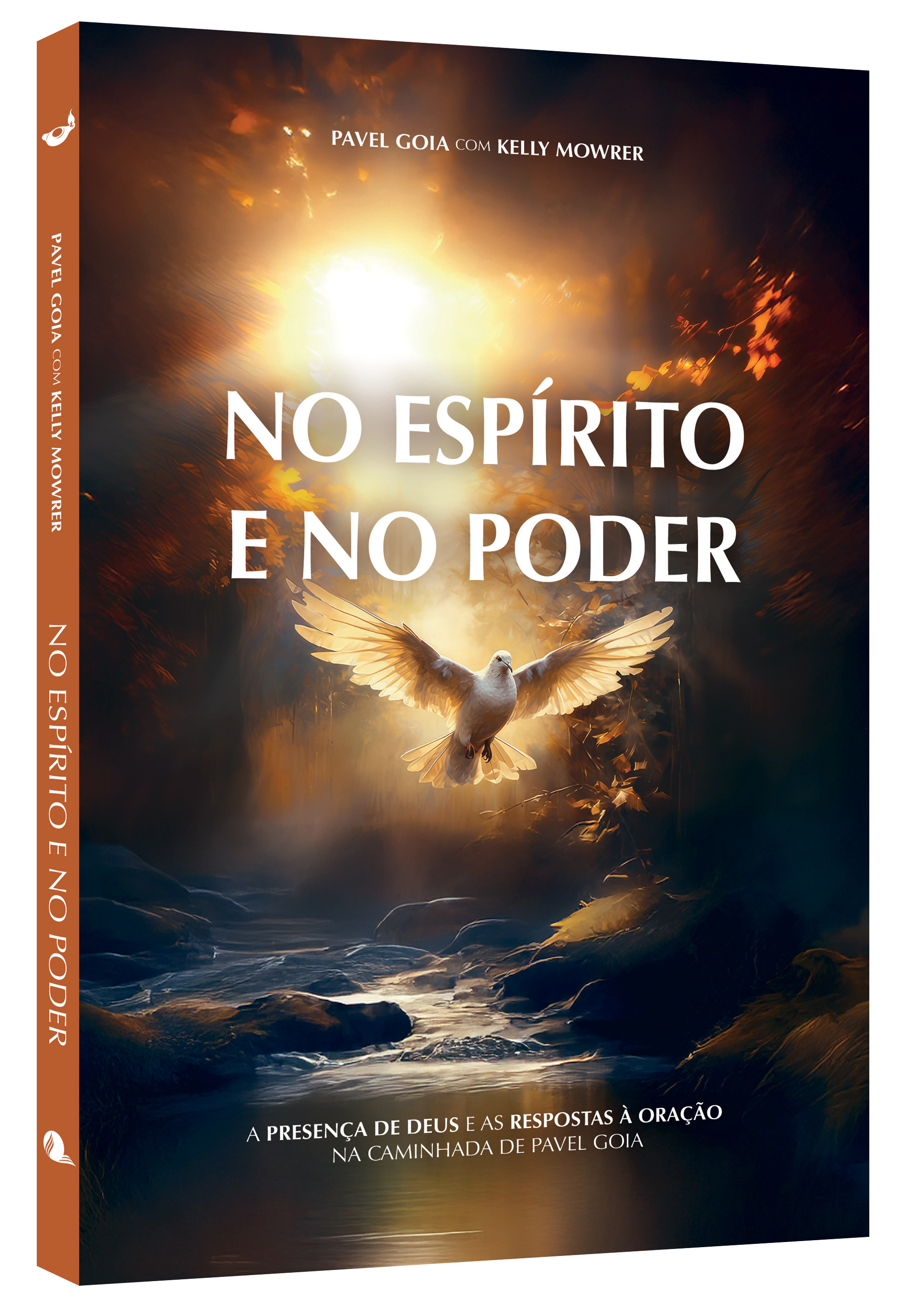 No Espírito e no Poder