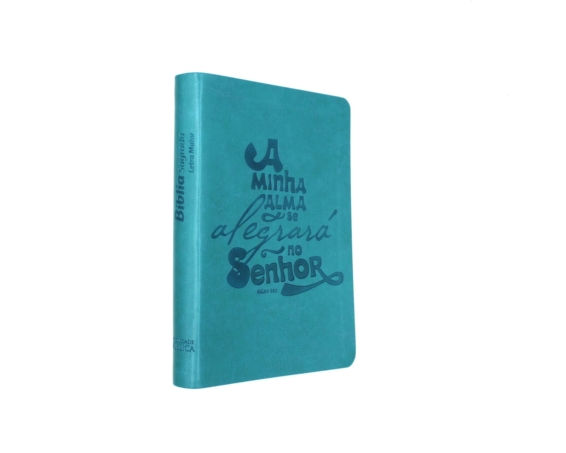 Biblia DN 54 LM