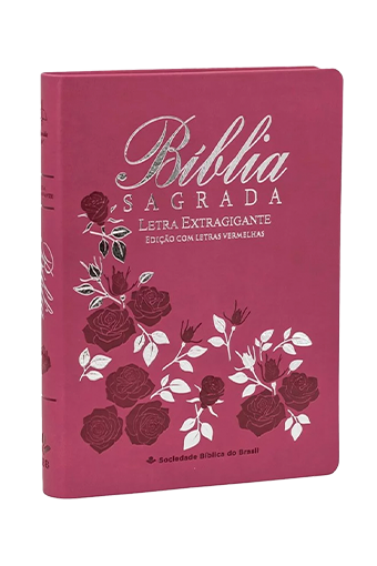 Bib.Letra Extragigante(arc085tilexglv)