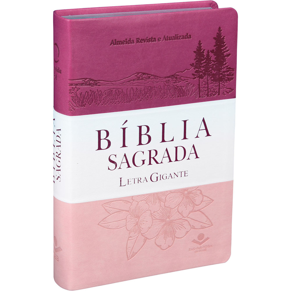 BIBLIA RA065TILGI-ROSA E BRANCA INDICE