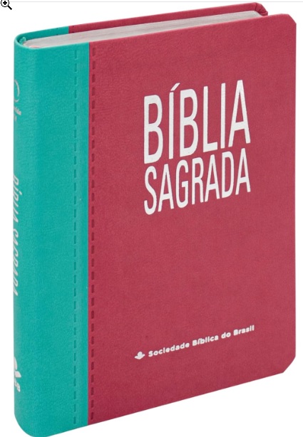 Bíblia RA065TILGI - Rosa/Azul/Turquesa