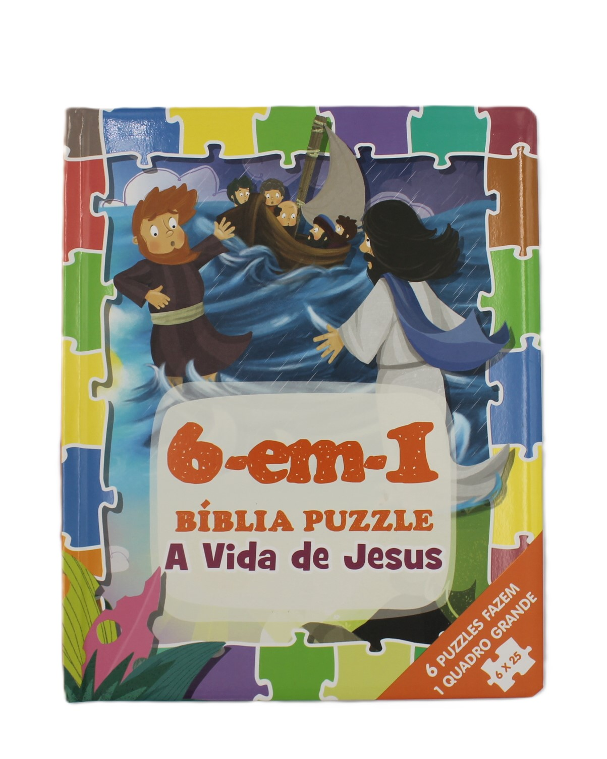 Biblia 6 Em 1 - A Vida De Jesus